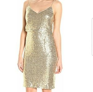 Emery Soft Gold Sequin Dress Size 10 Knee Length